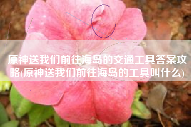 原神送我们前往海岛的交通工具答案攻略(原神送我们前往海岛的工具叫什么)