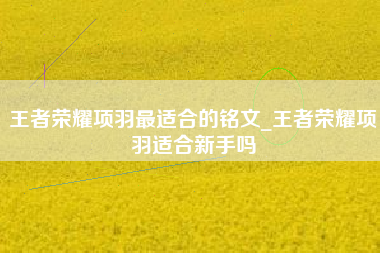 王者荣耀项羽最适合的铭文_王者荣耀项羽适合新手吗