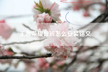 王者荣耀鲁班怎么安装铭文