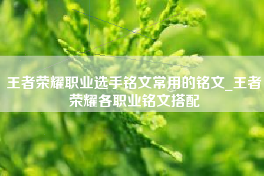 王者荣耀职业选手铭文常用的铭文_王者荣耀各职业铭文搭配