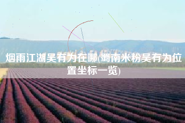 烟雨江湖吴有为在哪(蜀南米粉吴有为位置坐标一览)