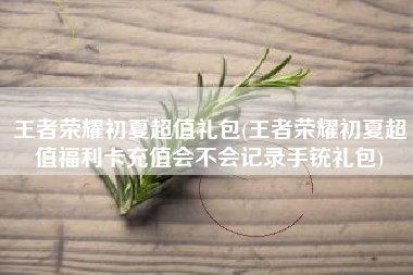 王者荣耀初夏超值礼包(王者荣耀初夏超值福利卡充值会不会记录手铳礼包)