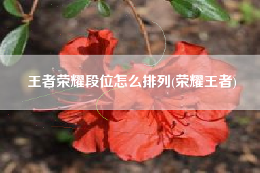 王者荣耀段位怎么排列(荣耀王者)
