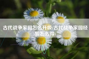 古代战争家园怎么升级(古代战争家园经验怎么得)