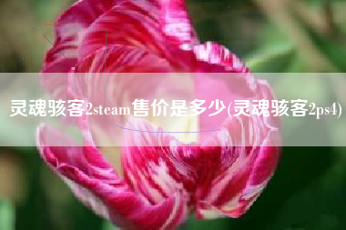 灵魂骇客2steam售价是多少(灵魂骇客2ps4)