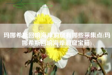 玛娜希斯回响海岸洞窟有哪些采集点(玛娜希斯回响海岸洞窟宝箱)