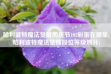 哈利波特魔法觉醒国庆节102彩蛋在哪里(哈利波特魔法觉醒段位等级划分)
