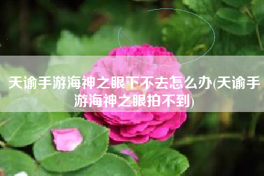 天谕手游海神之眼下不去怎么办(天谕手游海神之眼拍不到)