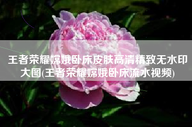 王者荣耀嫦娥卧床皮肤高清精致无水印大图(王者荣耀嫦娥卧床流水视频)