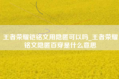 王者荣耀铠铭文用隐匿可以吗_王者荣耀铭文隐匿百穿是什么意思
