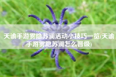 天谕手游雾隐苏澜活动小技巧一览(天谕手游雾隐苏澜怎么晋级)