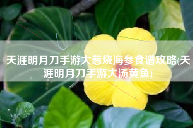天涯明月刀手游大葱烧海参食谱攻略(天涯明月刀手游大汤黄鱼)