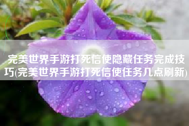 完美世界手游打死信使隐藏任务完成技巧(完美世界手游打死信使任务几点刷新)