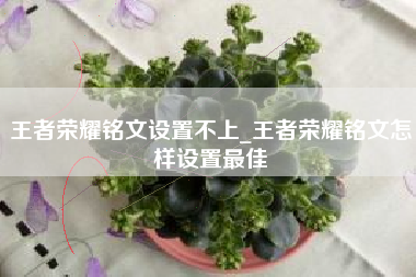 王者荣耀铭文设置不上_王者荣耀铭文怎样设置最佳