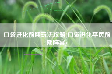 口袋进化前期玩法攻略(口袋进化平民前期阵容)