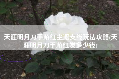 天涯明月刀手游红尘渡支线玩法攻略(天涯明月刀手游红发多少钱)