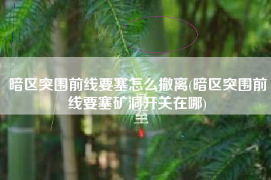 暗区突围前线要塞怎么撤离(暗区突围前线要塞矿洞开关在哪)