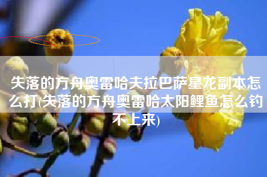 失落的方舟奥雷哈夫拉巴萨星龙副本怎么打(失落的方舟奥雷哈太阳鲤鱼怎么钓不上来)