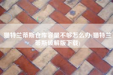 猫特兰蒂斯仓库容量不够怎么办(猫特兰蒂斯破解版下载)