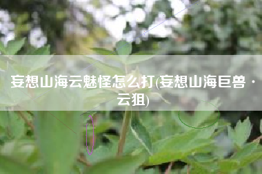 妄想山海云魅怪怎么打(妄想山海巨兽·云狙)