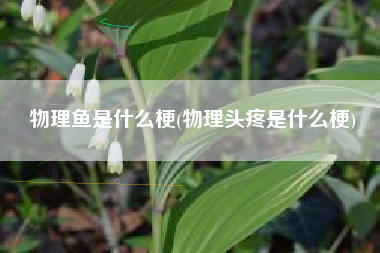 物理鱼是什么梗(物理头疼是什么梗)