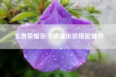 王者荣耀张飞最强出装搭配推荐