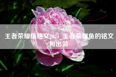 王者荣耀鱼铭文202o_王者荣耀鱼的铭文和出装