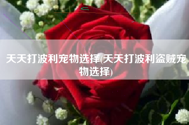 天天打波利宠物选择(天天打波利盗贼宠物选择)