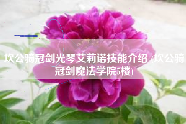 坎公骑冠剑光琴艾莉诺技能介绍 (坎公骑冠剑魔法学院5楼)