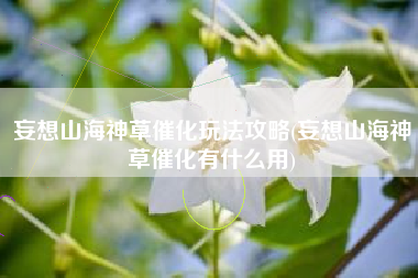 妄想山海神草催化玩法攻略(妄想山海神草催化有什么用)