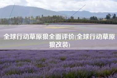 全球行动草原狼全面评价(全球行动草原狼改装)