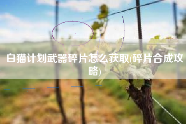 白猫计划武器碎片怎么获取(碎片合成攻略)