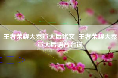 王者荣耀大秦宣太后铭文_王者荣耀大秦宣太后语音台词