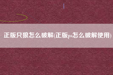 正版只狼怎么破解(正版ps怎么破解使用)