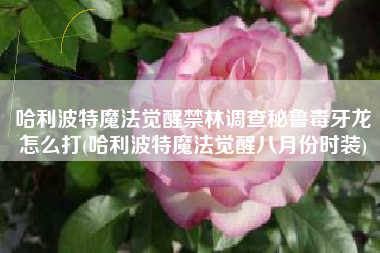 哈利波特魔法觉醒禁林调查秘鲁毒牙龙怎么打(哈利波特魔法觉醒八月份时装)