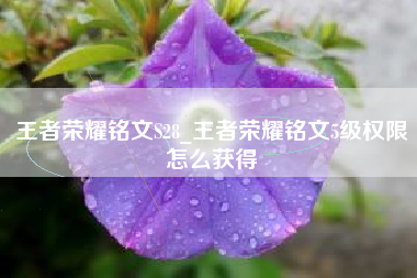 王者荣耀铭文S28_王者荣耀铭文5级权限怎么获得