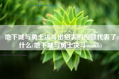 地下城与勇士决斗出招表的按键代表了什么(地下城与勇士决斗switch)