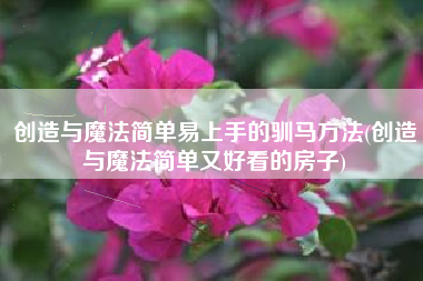 创造与魔法简单易上手的驯马方法(创造与魔法简单又好看的房子)