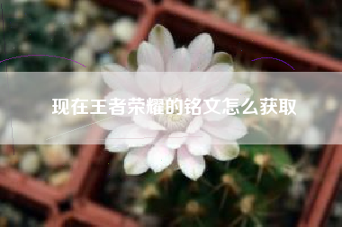 现在王者荣耀的铭文怎么获取