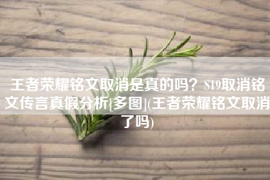 王者荣耀铭文取消是真的吗？S19取消铭文传言真假分析[多图](王者荣耀铭文取消了吗)