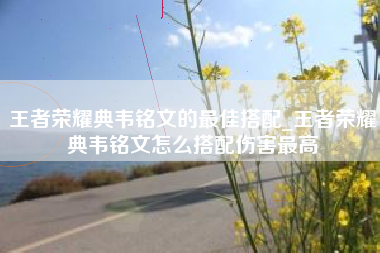 王者荣耀典韦铭文的最佳搭配_王者荣耀典韦铭文怎么搭配伤害最高