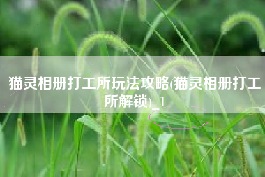 猫灵相册打工所玩法攻略(猫灵相册打工所解锁)_1