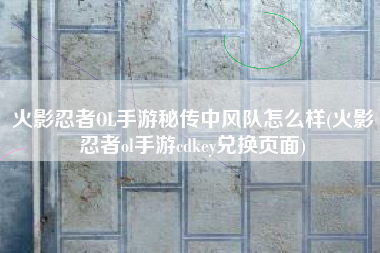 火影忍者OL手游秘传中风队怎么样(火影忍者ol手游cdkey兑换页面)