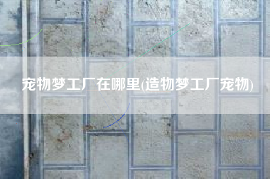 宠物梦工厂在哪里(造物梦工厂宠物)