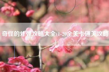 奇怪的炸弹攻略大全(1-20全关卡通关攻略)