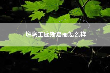 燃烧王座斯嘉丽怎么样