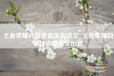 王者荣耀孙尚香最强的铭文_王者荣耀口袋孙尚香铭文出装