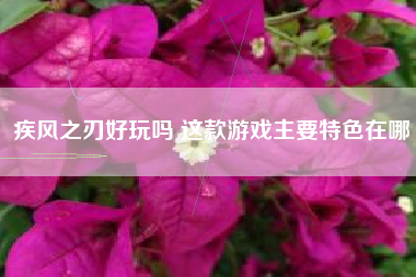 疾风之刃好玩吗 这款游戏主要特色在哪