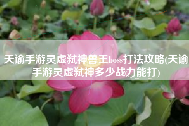 天谕手游灵虚弑神兽王boss打法攻略(天谕手游灵虚弑神多少战力能打)