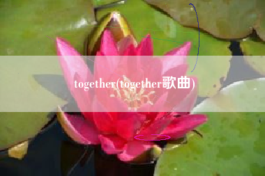 together(together歌曲)